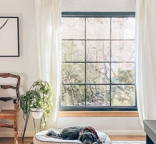 Large black-grid picture window with white curtains overlooking trees, with a dog resting on a bed below.
